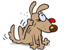 Scratchers.org.uk